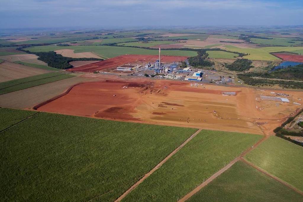 Expansão de celulose cria conflito com produtores de cana – 18/05/2025 – Mercado